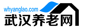 武汉养老网