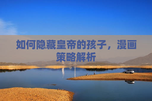 如何隐藏皇帝的孩子，漫画策略解析