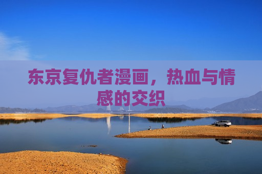 东京复仇者漫画,热血与情感的交织 东京复仇者漫画,热血与情感的交织